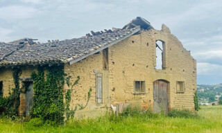 Photo N° 4