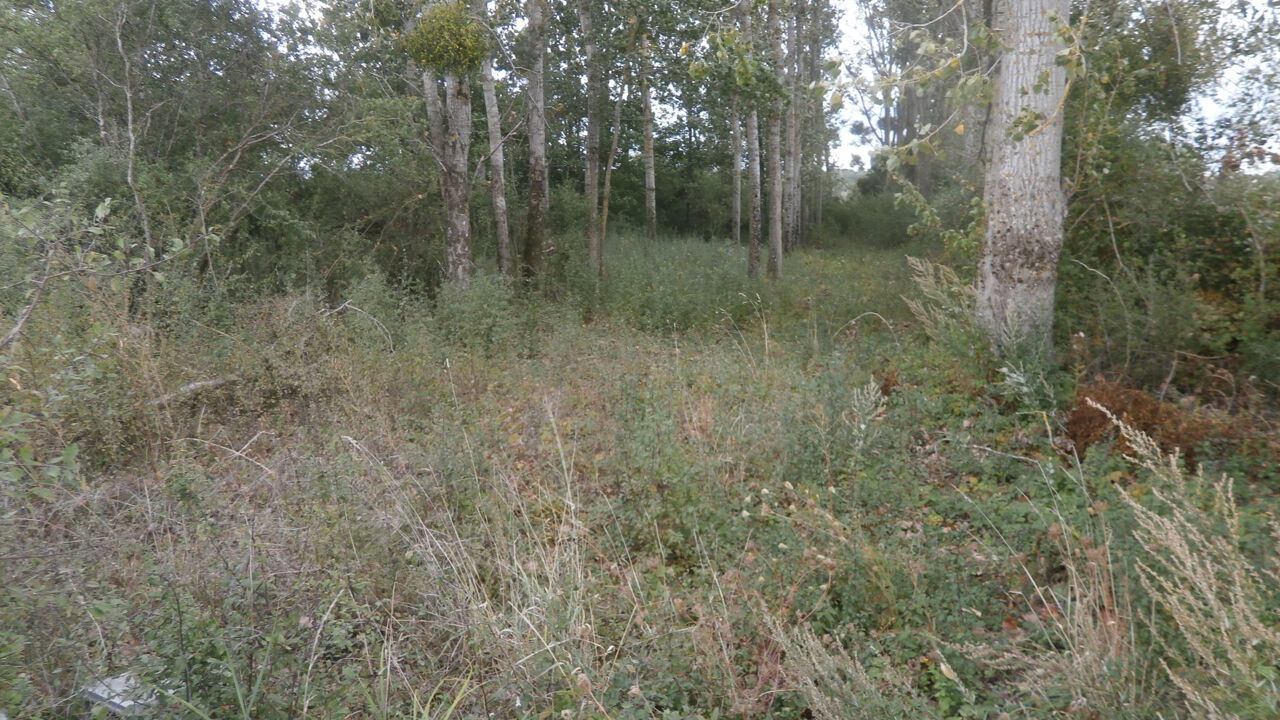 terrain  pièces 2370 m2 à vendre à Saint-Georges-sur-la-Prée (18100)