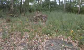 Photo N° 2