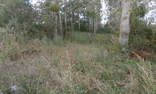 Terrain  2370 m² à vendre à Saint-Georges-sur-la-Prée (18100)