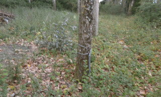 Photo N° 6