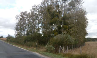 Terrain  2370 m² à vendre à Saint-Georges-sur-la-Prée (18100)