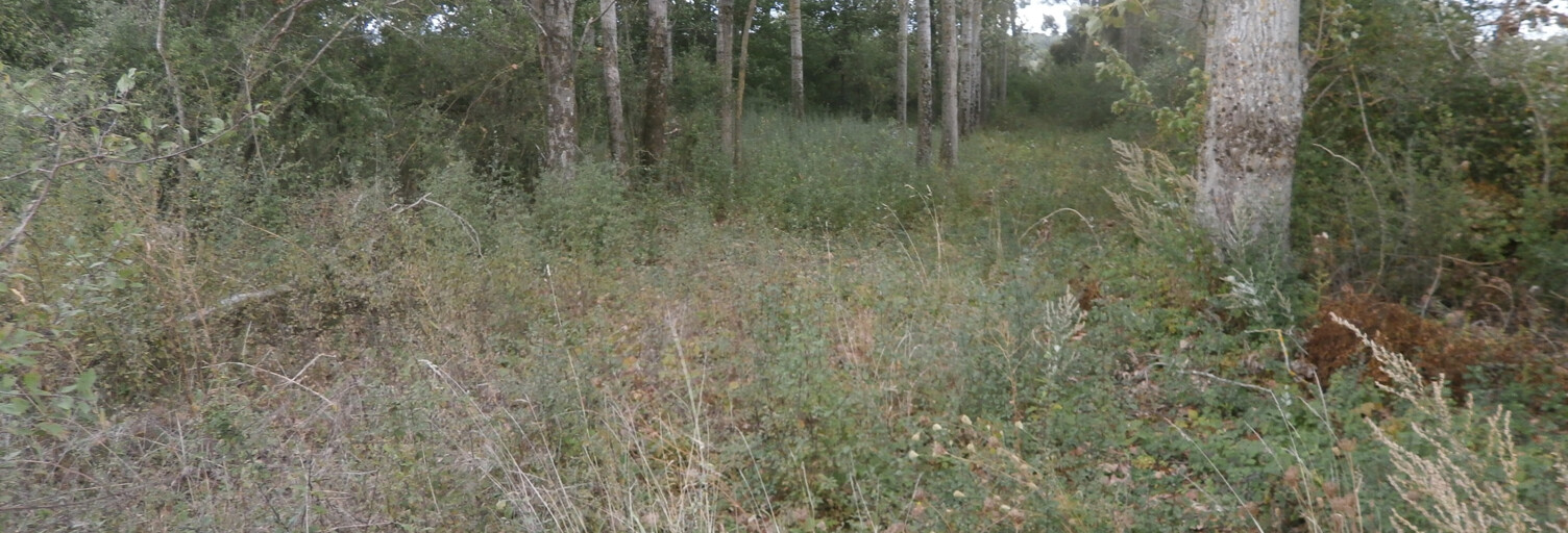 Terrain  2370 m² à vendre à Saint-Georges-sur-la-Prée (18100)