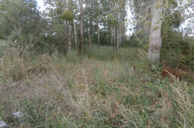 Terrain  10000 €
