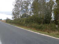 TERRAIN DE LOISIRS 2370 M2 EN PARTIE BOISEE DE PEUPLIERS — photo 3
