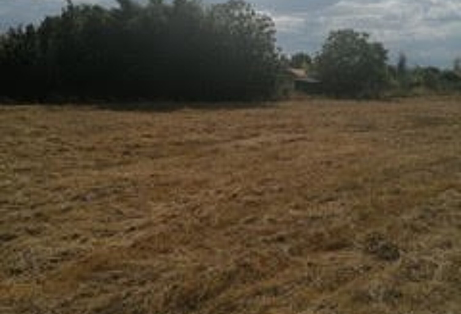 Vente terrain  800 m² Mirepoix-sur-Tarn (31340) — photo 1