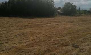 Terrain  800 m² à vendre à Mirepoix-sur-Tarn (31340)