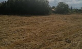 Terrain  800 m² à vendre à Mirepoix-sur-Tarn (31340)