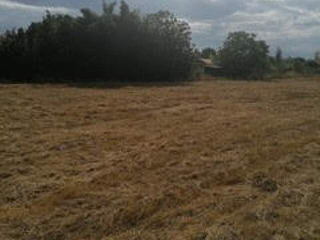Terrain 800 m² à Mirepoix-sur-Tarn — photo du bien
