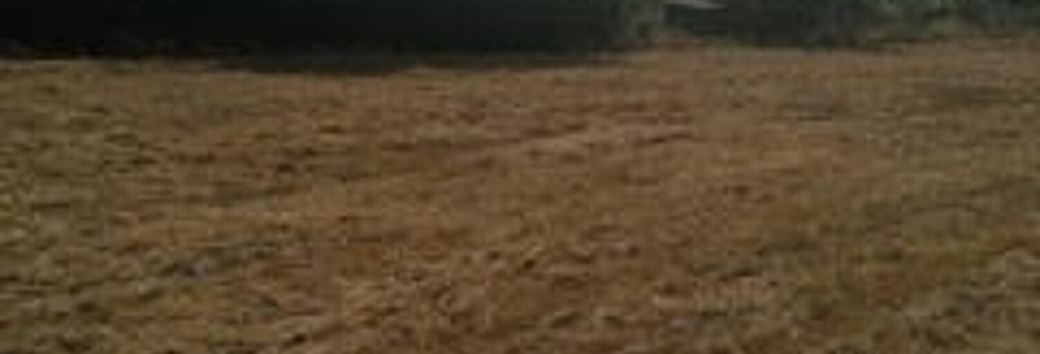 Terrain  800 m² à vendre à Mirepoix-sur-Tarn (31340)