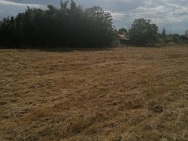 Terrain à construire  800 m²  — photo 1