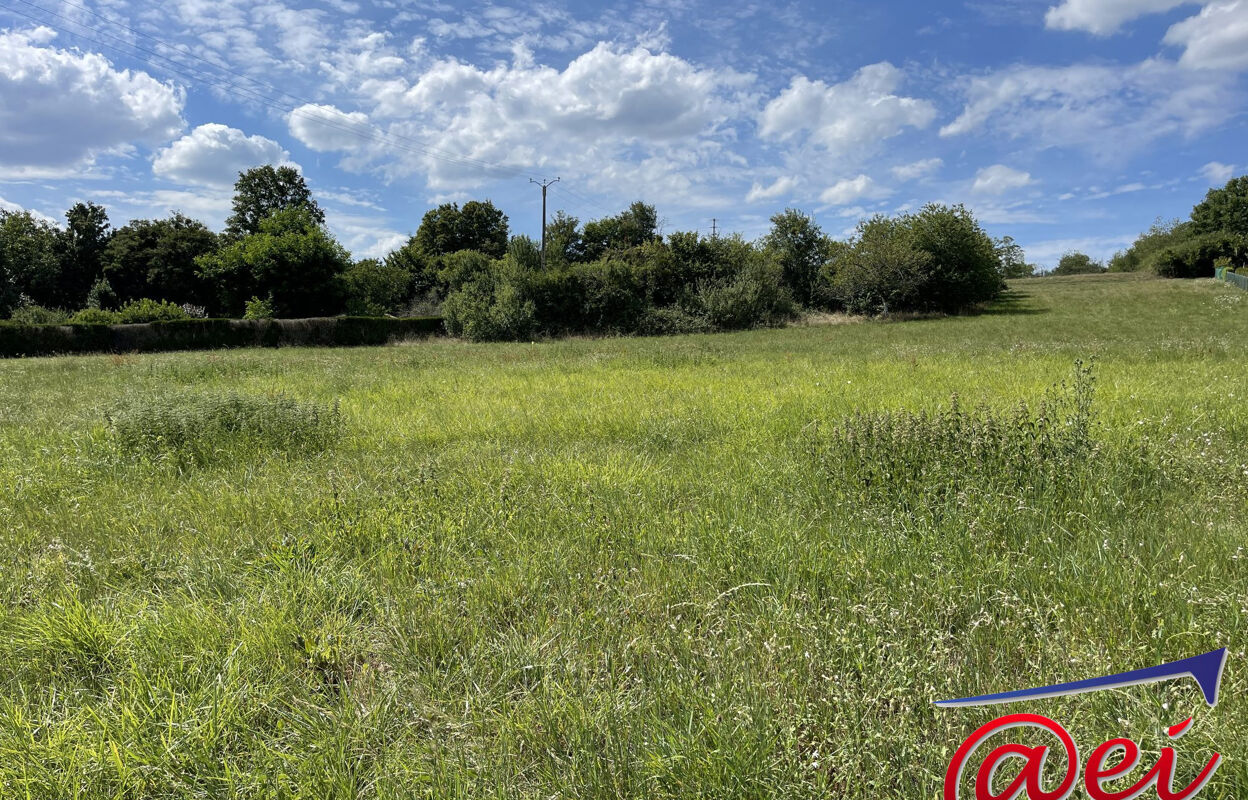 terrain  pièces 3200 m2 à vendre à Châtillon-sur-Loire (45360)