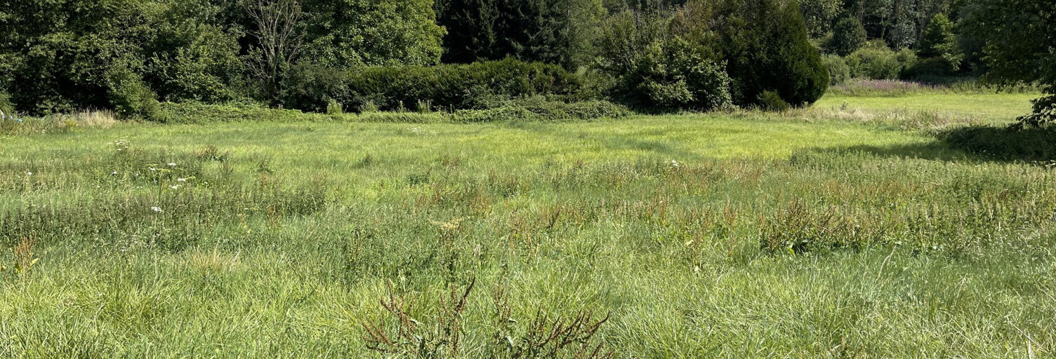 Terrain  1638 m² à vendre à Châtillon-sur-Loire (45360)