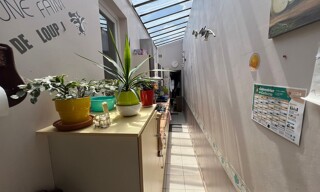 Photo N° 4