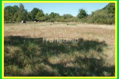 Maison 1 pièces 20000 €