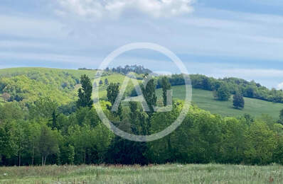 SOREZE CENTRE - TERRAIN CONSTRUCTIBLE - VIABILISE - VUE — photo du bien