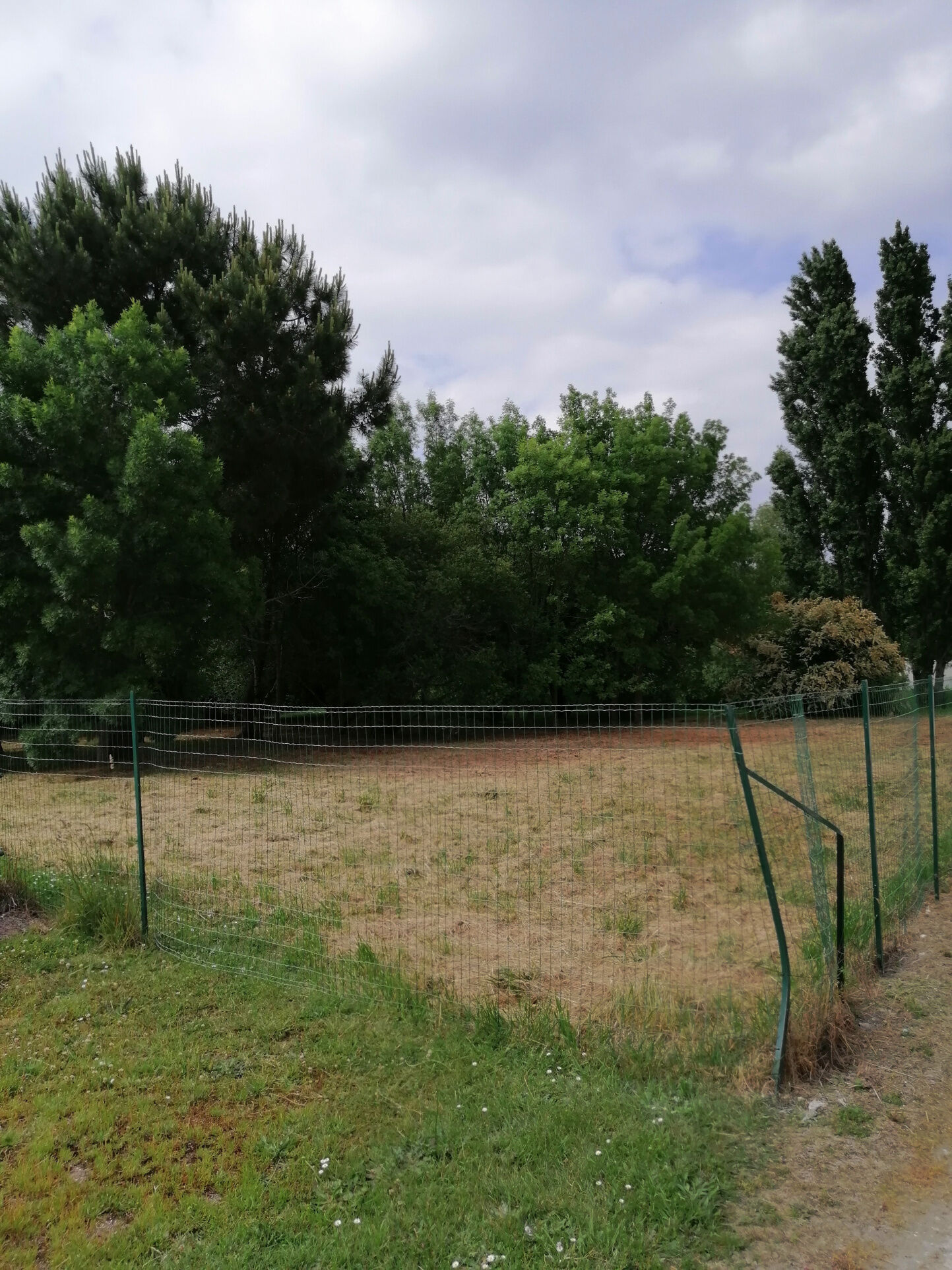 Terrain  à vendre Saint-Palais-sur-Mer 17420
