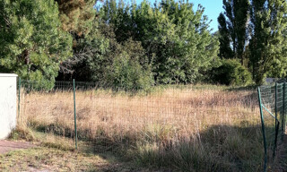 Photo N° 5