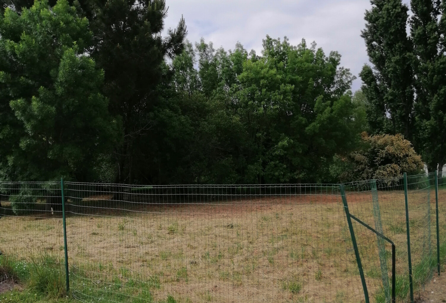 TERRAIN A BATIR ST PALAIS SUR MER — photo 1