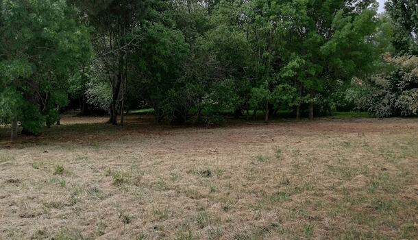 Terrain  à vendre Saint-Palais-sur-Mer 17420