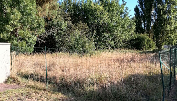 Terrain  à vendre Saint-Palais-sur-Mer 17420