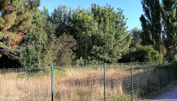 Terrain  à vendre Saint-Palais-sur-Mer 17420