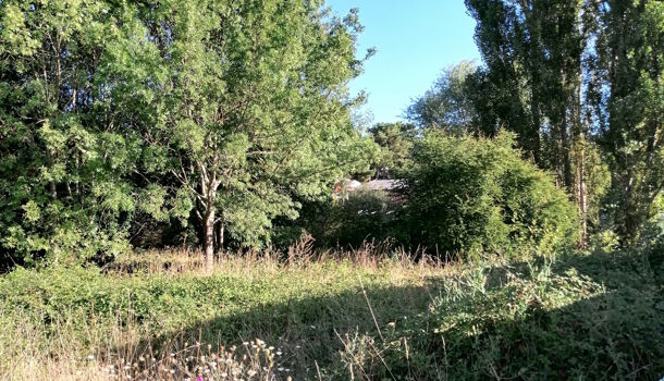 Terrain  à vendre Saint-Palais-sur-Mer 17420