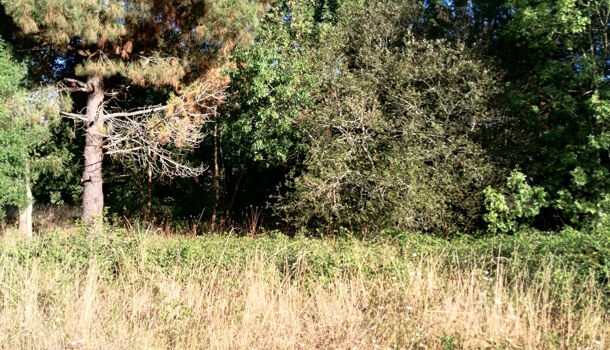 Terrain  à vendre Saint-Palais-sur-Mer 17420