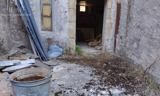Photo N° 8