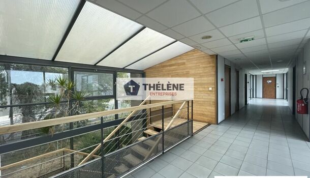 Bureau  à louer Montpellier 34080