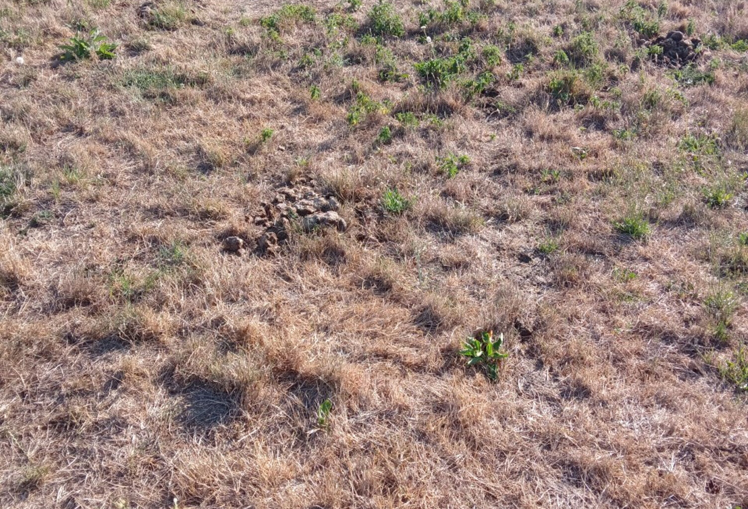 TERRAIN A BATIR NON VIABILISE — photo 1