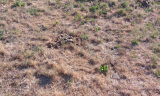 Terrain  1003 m² à vendre à Chavigny-Bailleul (27220)