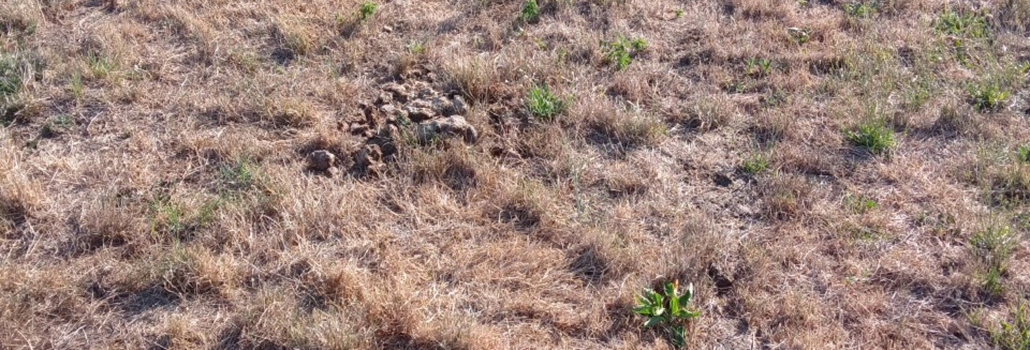 Terrain  1003 m² à vendre à Chavigny-Bailleul (27220)