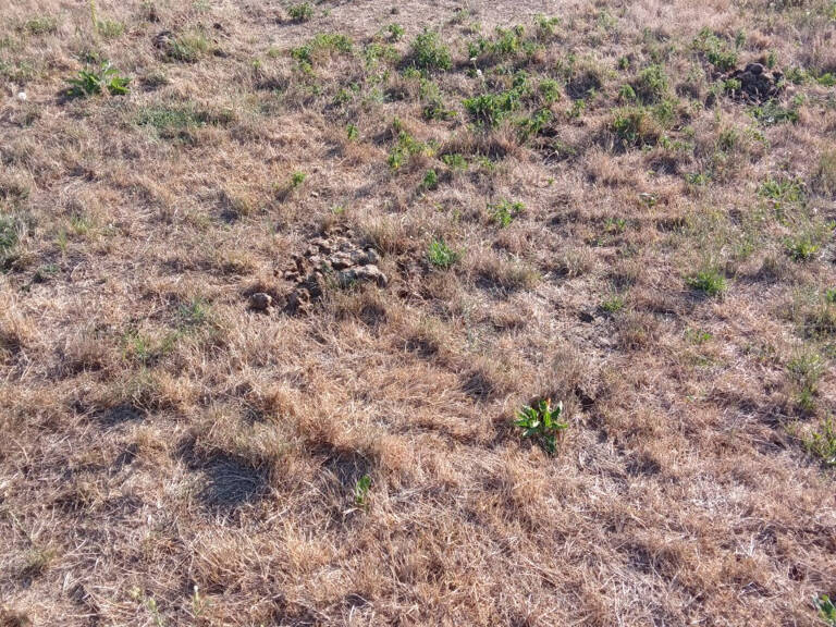 TERRAIN A BATIR NON VIABILISE — photo 1