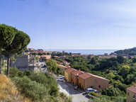 EXEPTIONNEL COLLIOURE — photo 3