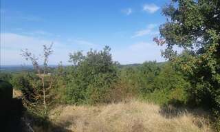 Terrain  4387 m² à vendre à Saint-Projet (46300)