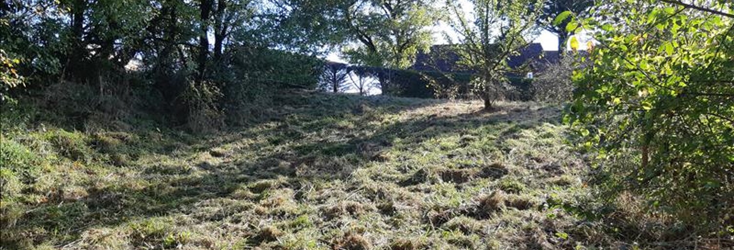 Terrain  4387 m² à vendre à Saint-Projet (46300)