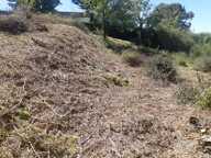 Terrain à bâtir de 0 pièces principales — photo 4