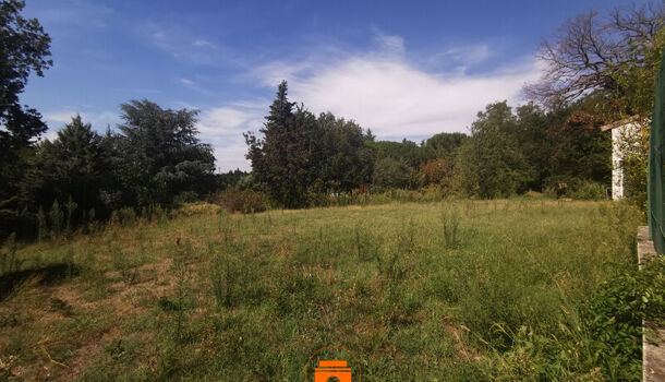 Terrain  à vendre Allan 26780