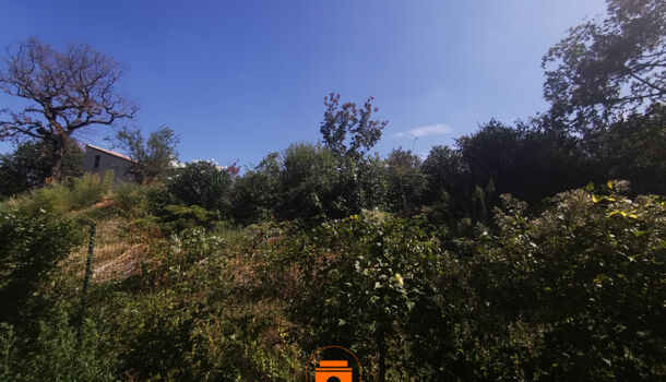 Terrain  à vendre Allan 26780