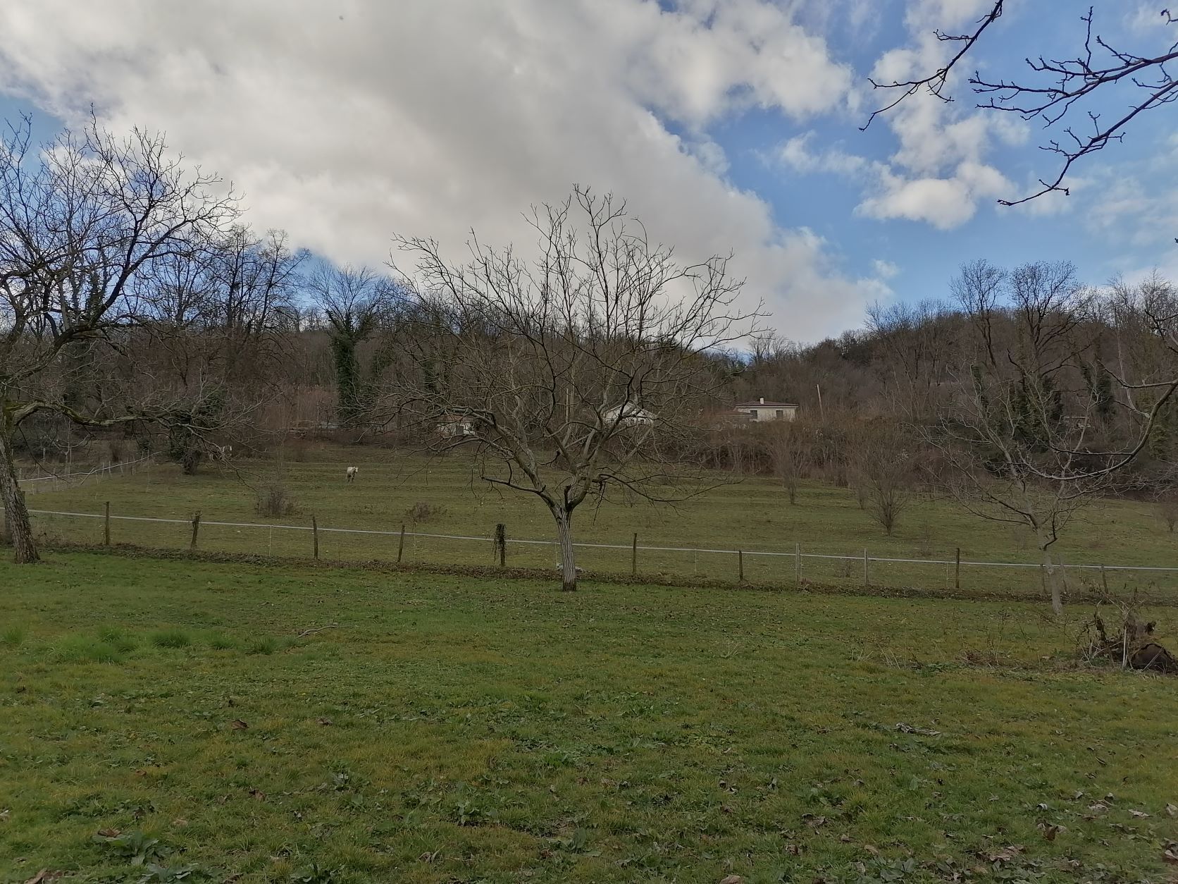 Agence immobilière de Anthema