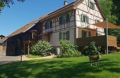 vente maison 720 000 € à proximité de Altkirch (68130)