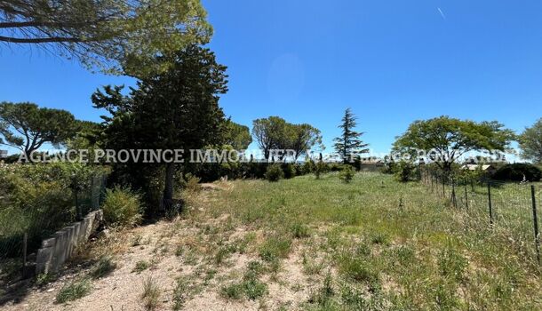 Terrain  à vendre Sainte-Cécile-les-Vignes 84290