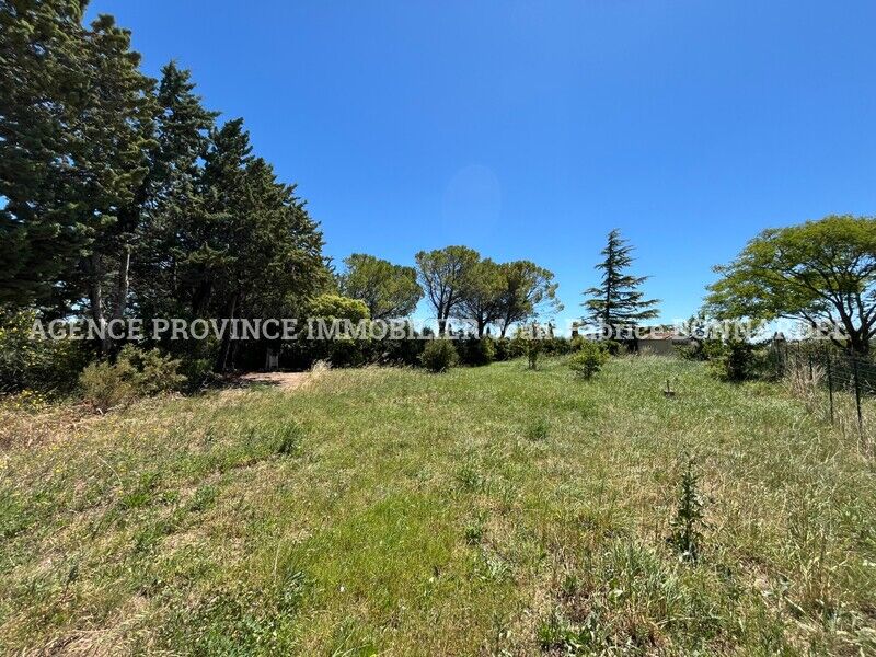 Terrain  à vendre Sainte-Cécile-les-Vignes 84290