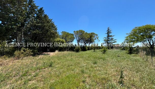 Terrain  à vendre Sainte-Cécile-les-Vignes 84290