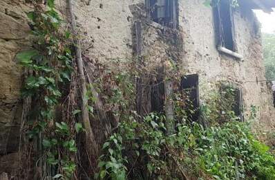Réf: 10014*** Pyrénées, proche Andorre:  Ancien corps de ferme/Bergerie en pierre de taille env. 160 m2 — photo du bien