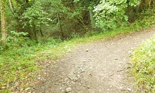 Photo N° 6