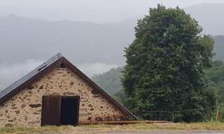 Photo N° 8