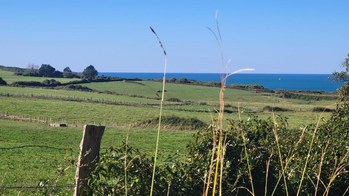 Appartement  T5 à vendre Urrugne 64122