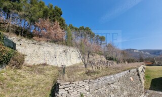 Photo N° 16